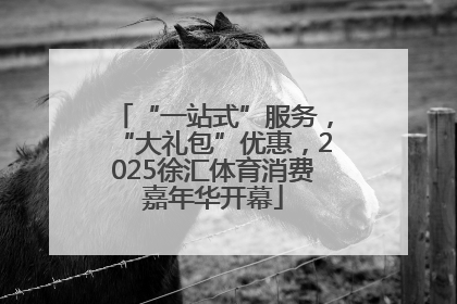 “一站式”服务，“大礼包”优惠，2025徐汇体育消费嘉年华开幕